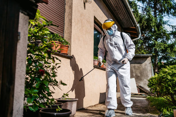 Professional Pest Control in Delcambre, LA