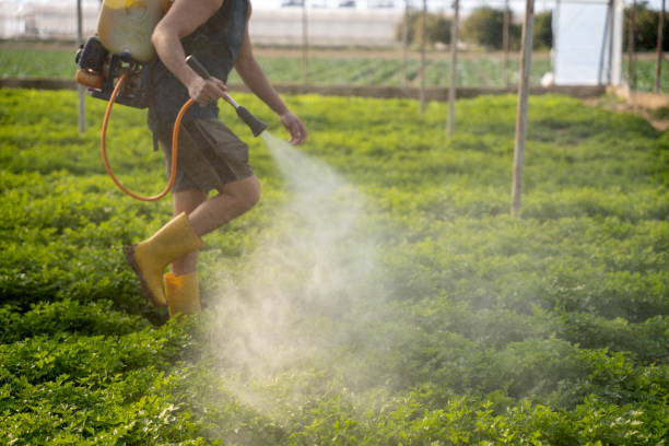 Best Affordable Pest Control Services  in Delcambre, LA