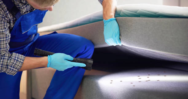 Best Mosquito Control Services  in Delcambre, LA